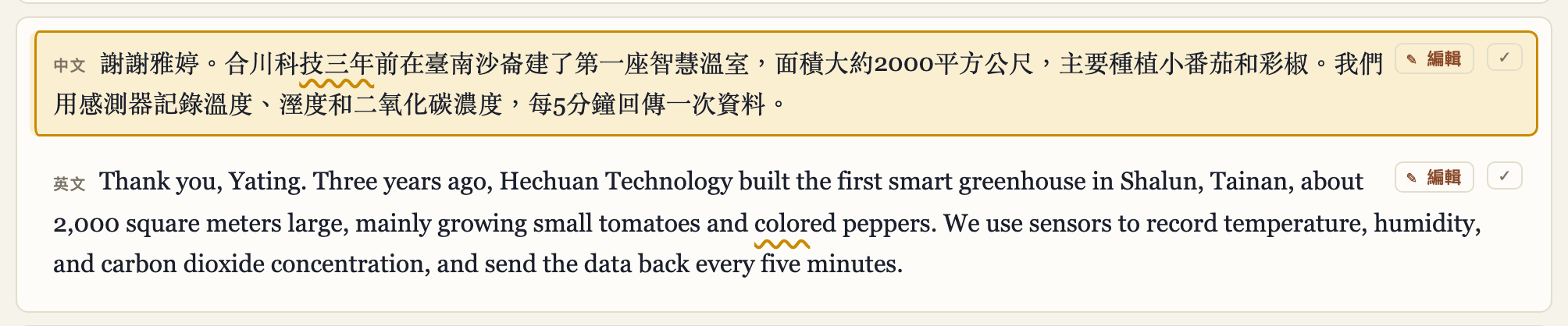 字幕中帶有波浪底線的詞